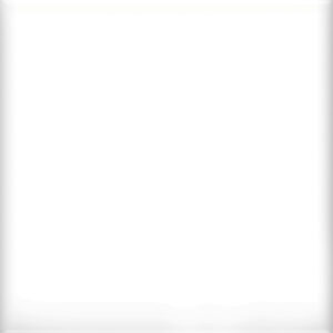 25 4-1/4 ICE WHITE AO A25