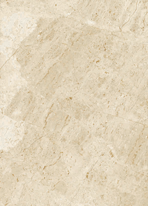 89204 Eggshell 12x24"