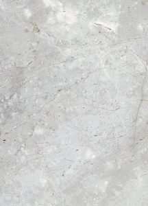 89214 Pumice 12x24"