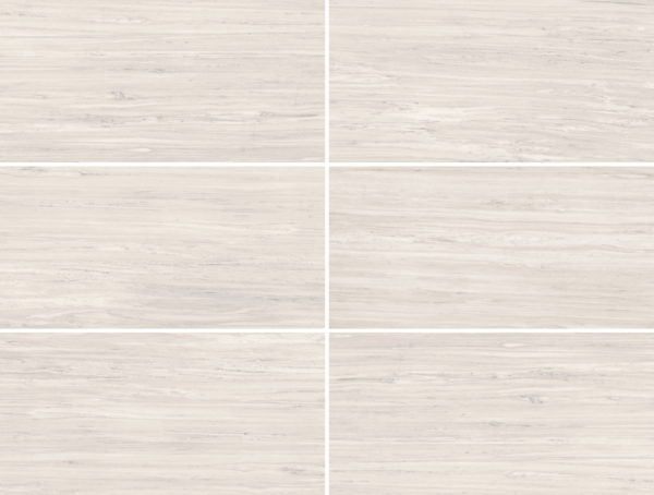 AIN030 Zebrino Taupe 12x24" Matte