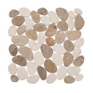 Tan & White Coins