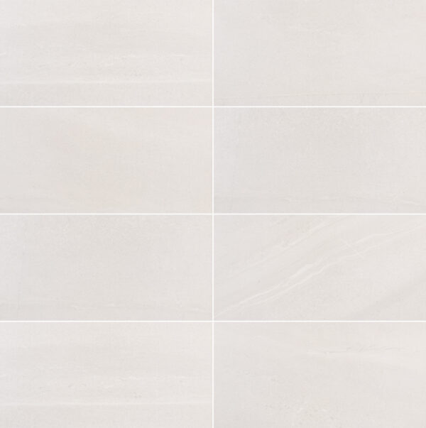 Adrock Frost 12x24"