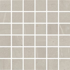 Adrock Latte 2x2"