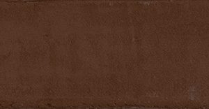 Burnt Umber 2x6"