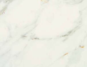 PF84 Divine 12x24"