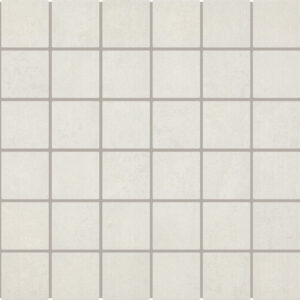 Theoretical Evolved 2x2"